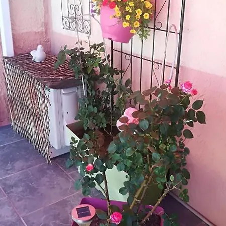 Bed & Breakfast Mas De La Coucourde