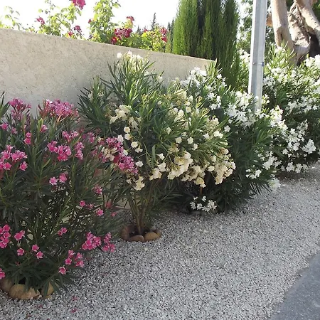 Mas De La Coucourde Bed & Breakfast
